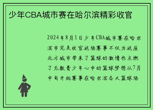 少年CBA城市赛在哈尔滨精彩收官